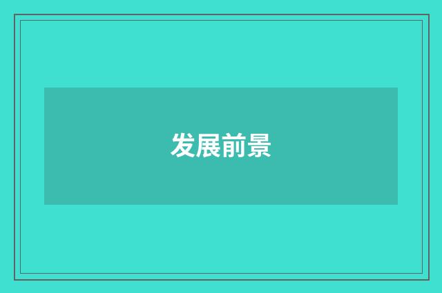 发展前景