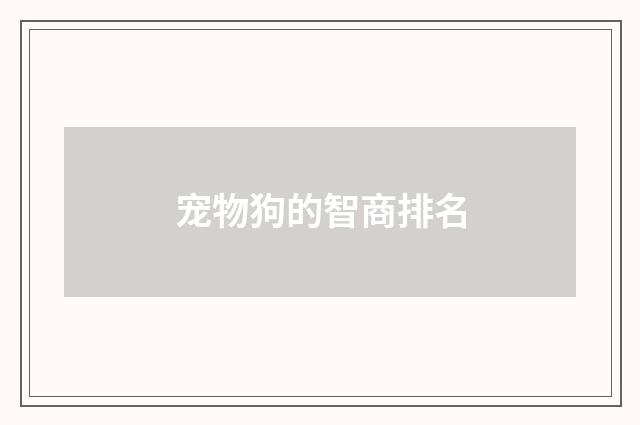 宠物狗的智商排名