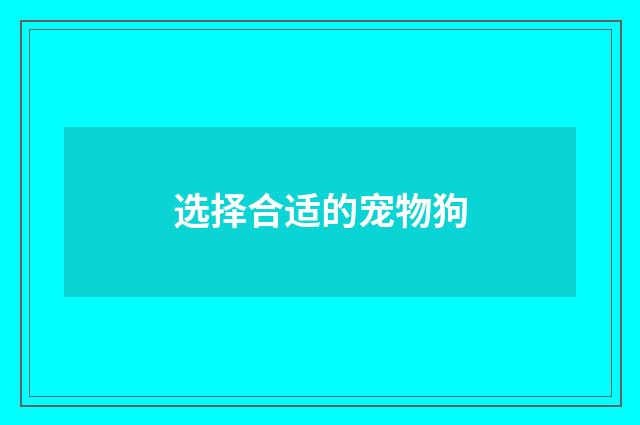 选择合适的宠物狗