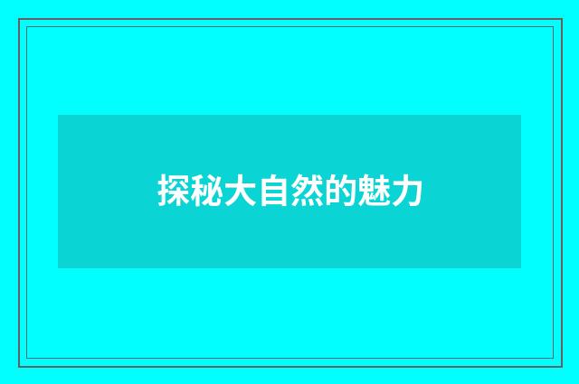 探秘大自然的魅力