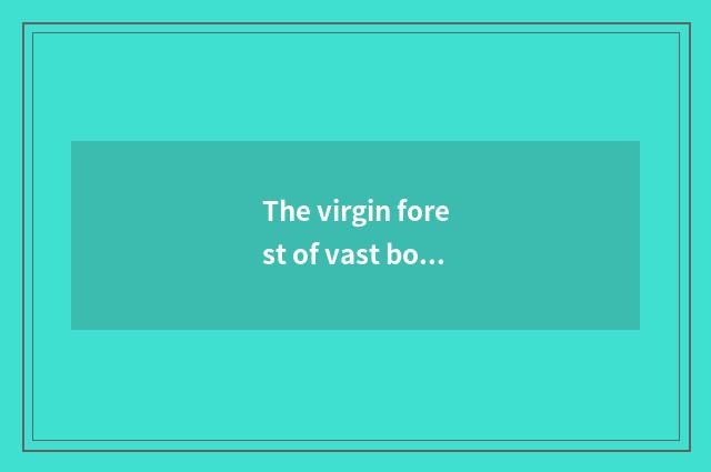 The virgin forest of vast boundless