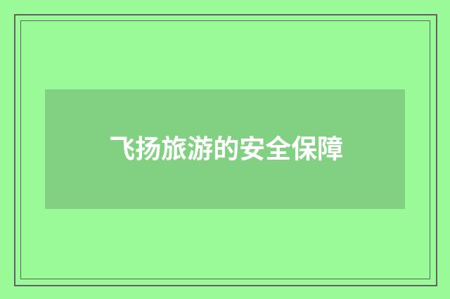 飞扬旅游的安全保障