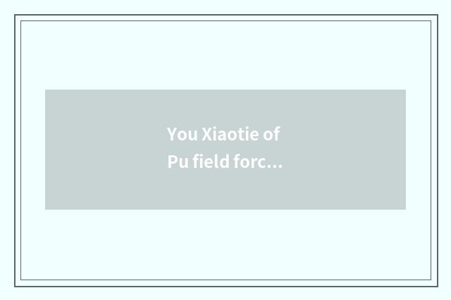 You Xiaotie of Pu field force person