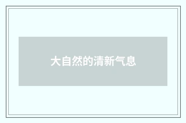 大自然的清新气息