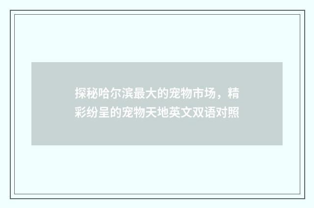探秘哈尔滨最大的宠物市场，精彩纷呈的宠物天地英文双语对照