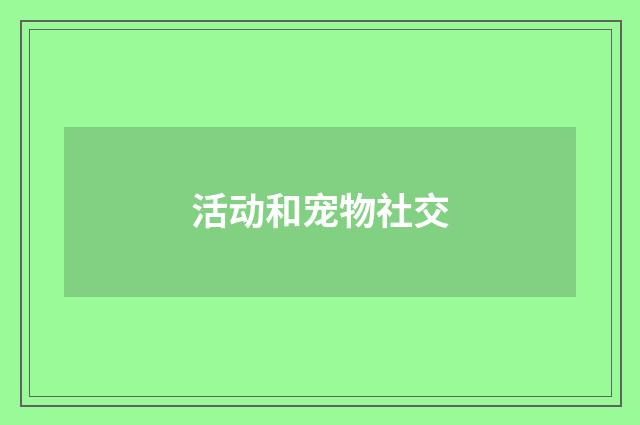 活动和宠物社交