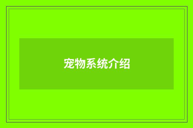 宠物系统介绍