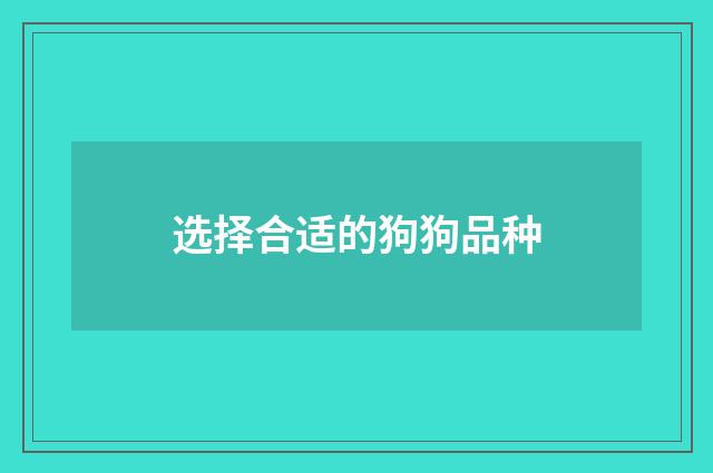 选择合适的狗狗品种