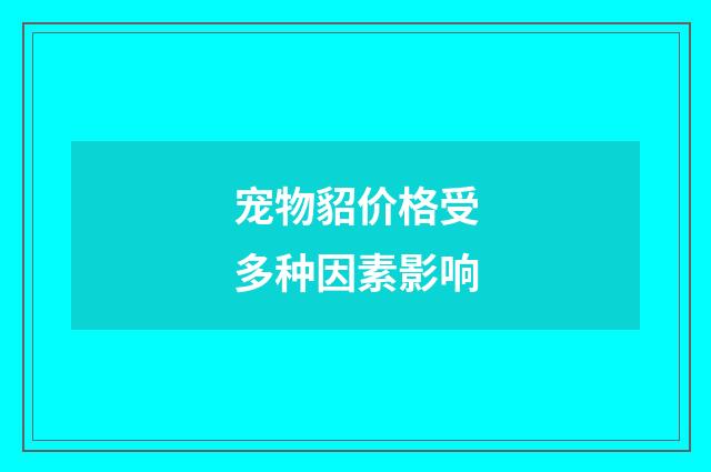 宠物貂价格受多种因素影响