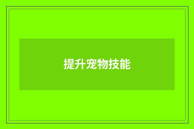 提升宠物技能