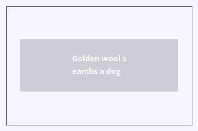 Golden wool searchs a dog