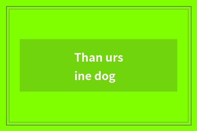 Than ursine dog