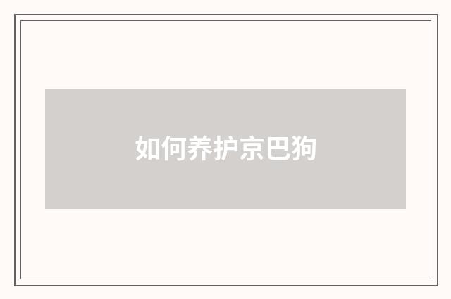 如何养护京巴狗