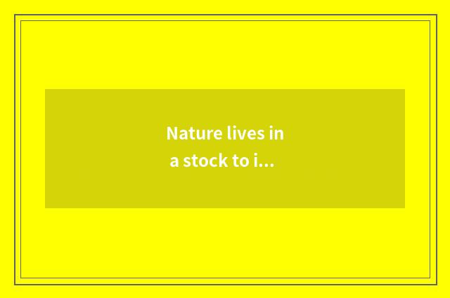 Nature lives in a stock to invest a guideline