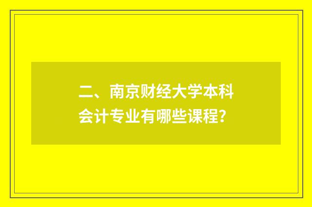 二、南京财经大学本科会计专业有哪些课程?