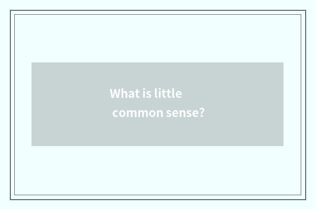 What is little common sense?