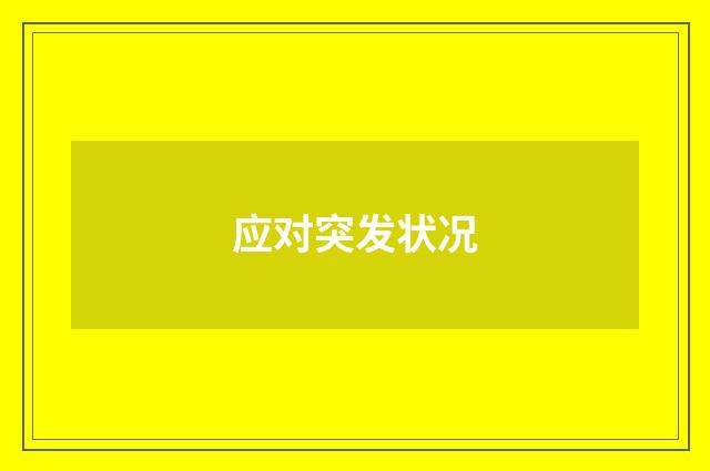 应对突发状况