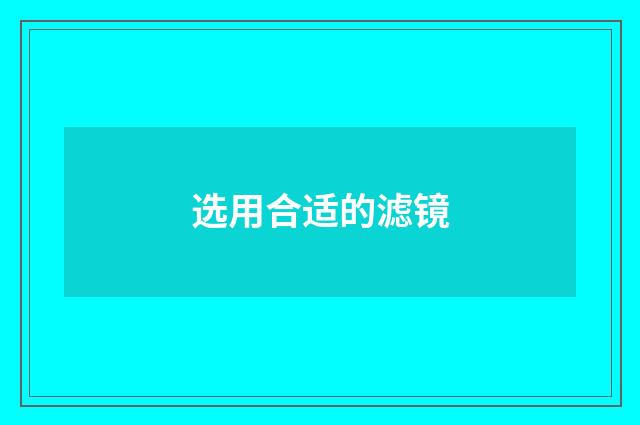 选用合适的滤镜