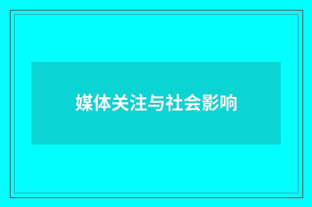 媒体关注与社会影响