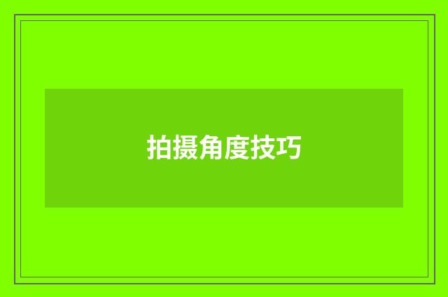 拍摄角度技巧