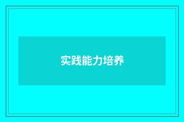实践能力培养