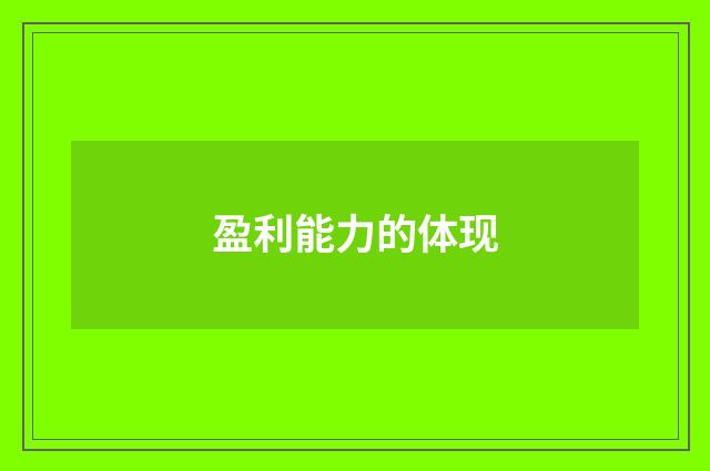盈利能力的体现