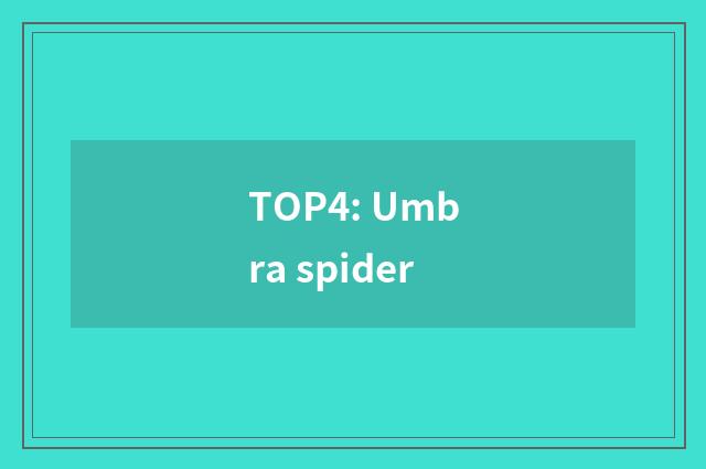 TOP4: Umbra spider