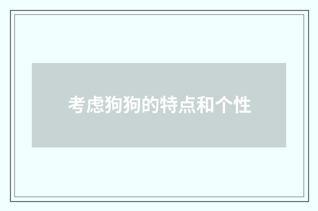 考虑狗狗的特点和个性