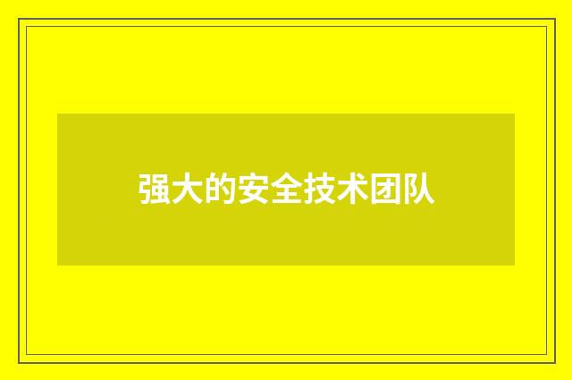 强大的安全技术团队