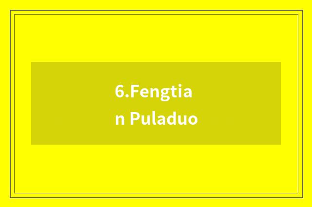 6.Fengtian Puladuo