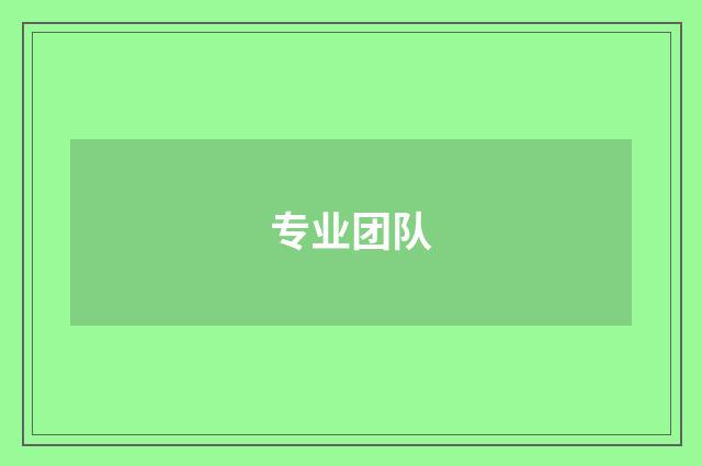 专业团队