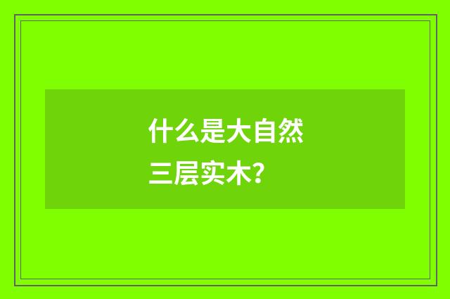 什么是大自然三层实木?