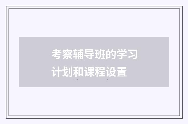 考察辅导班的学习计划和课程设置
