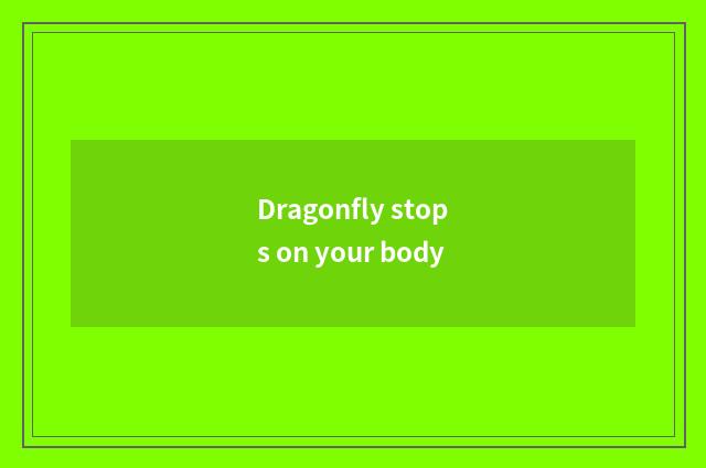 Dragonfly stops on your body