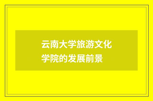 云南大学旅游文化学院的发展前景