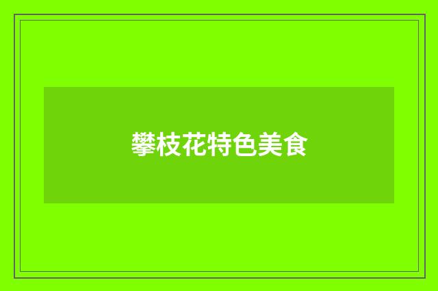 攀枝花特色美食