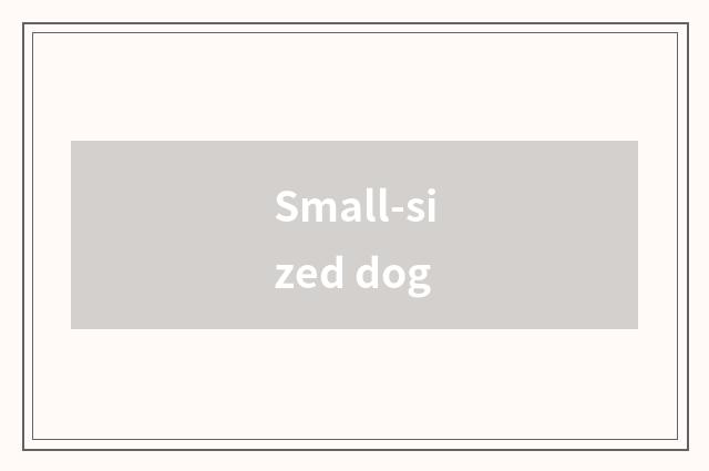 Small-sized dog