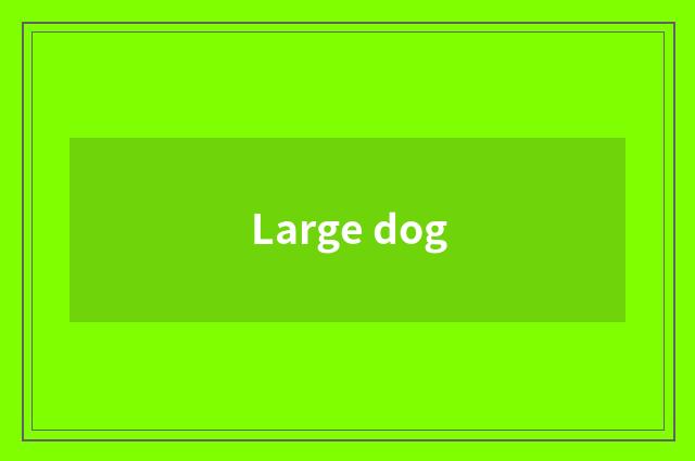 Large dog
