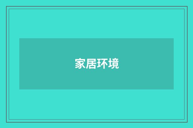 家居环境