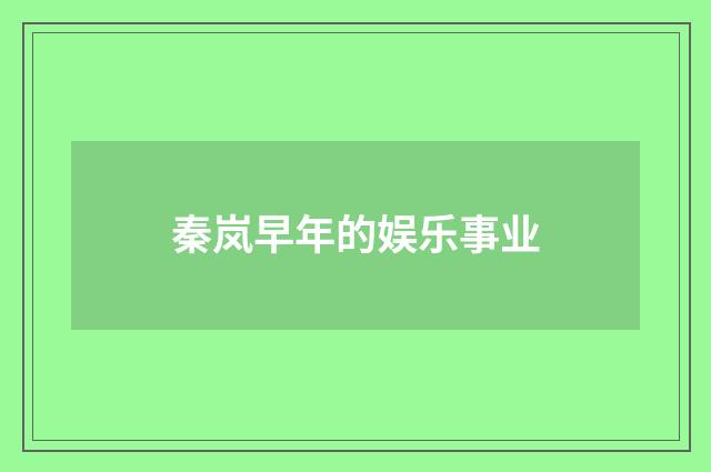 秦岚早年的娱乐事业