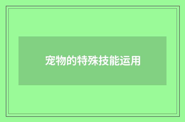 宠物的特殊技能运用