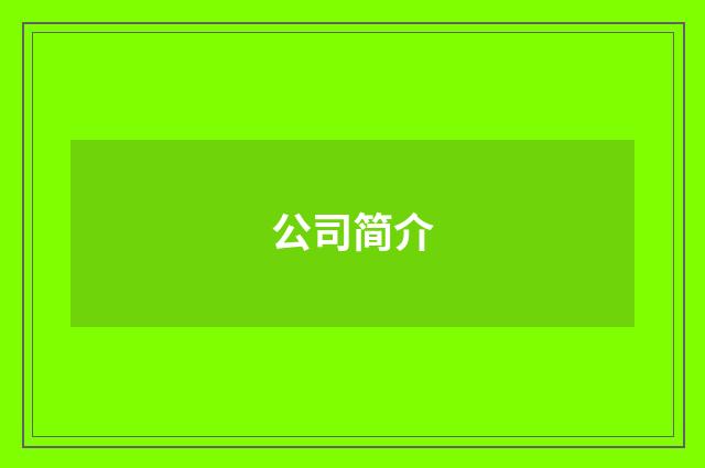 公司简介