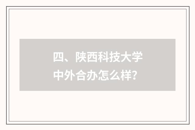 四、陕西科技大学中外合办怎么样？