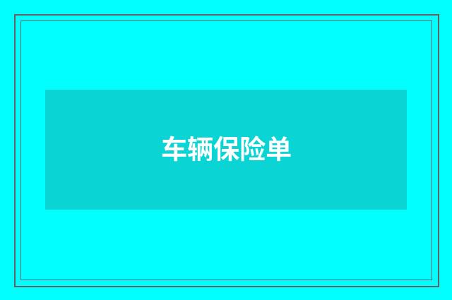 车辆保险单