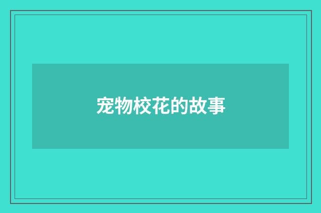 宠物校花的故事