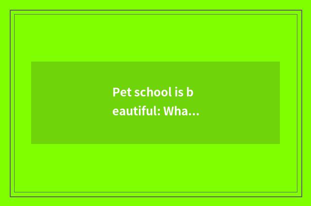 Pet school is beautiful: What be?