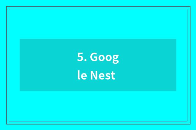 5. Google Nest