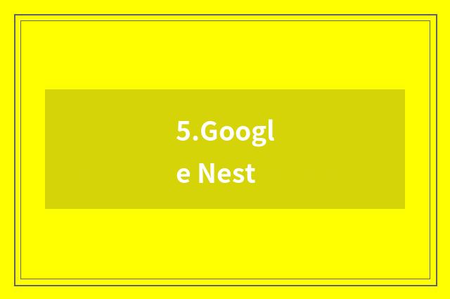 5.Google Nest