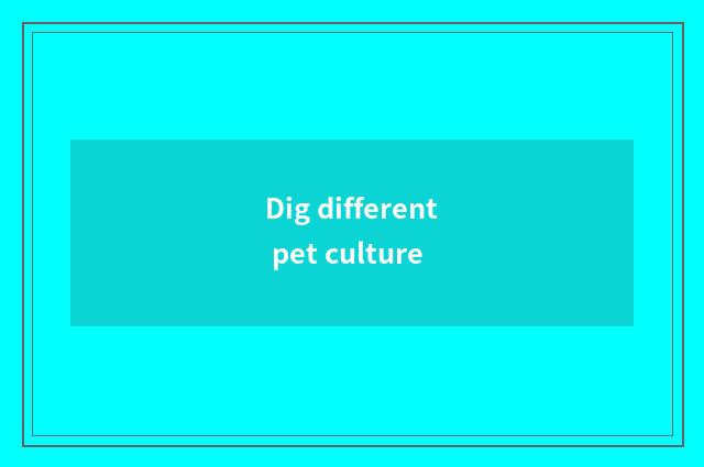 Dig different pet culture