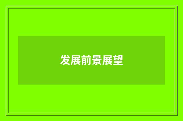 发展前景展望